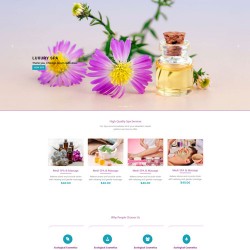 Salon Beauty parlor and spa website template